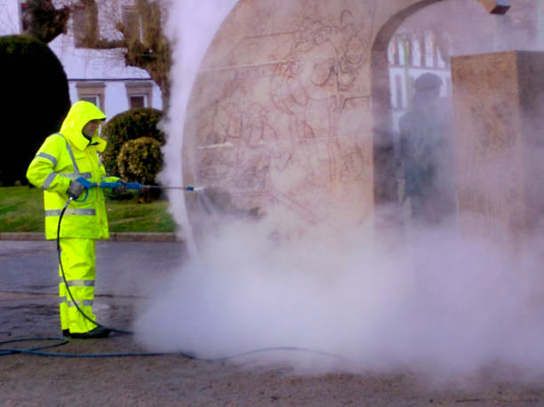 Best Roof Power Washing Services  in Clayco, MO